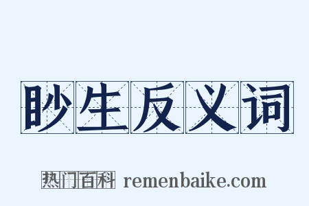 眇生反义词是什么意思的图片